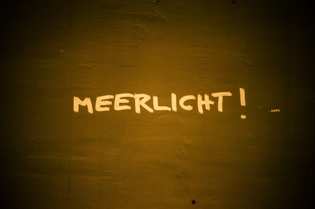 pexels photo 17527819.jpeg